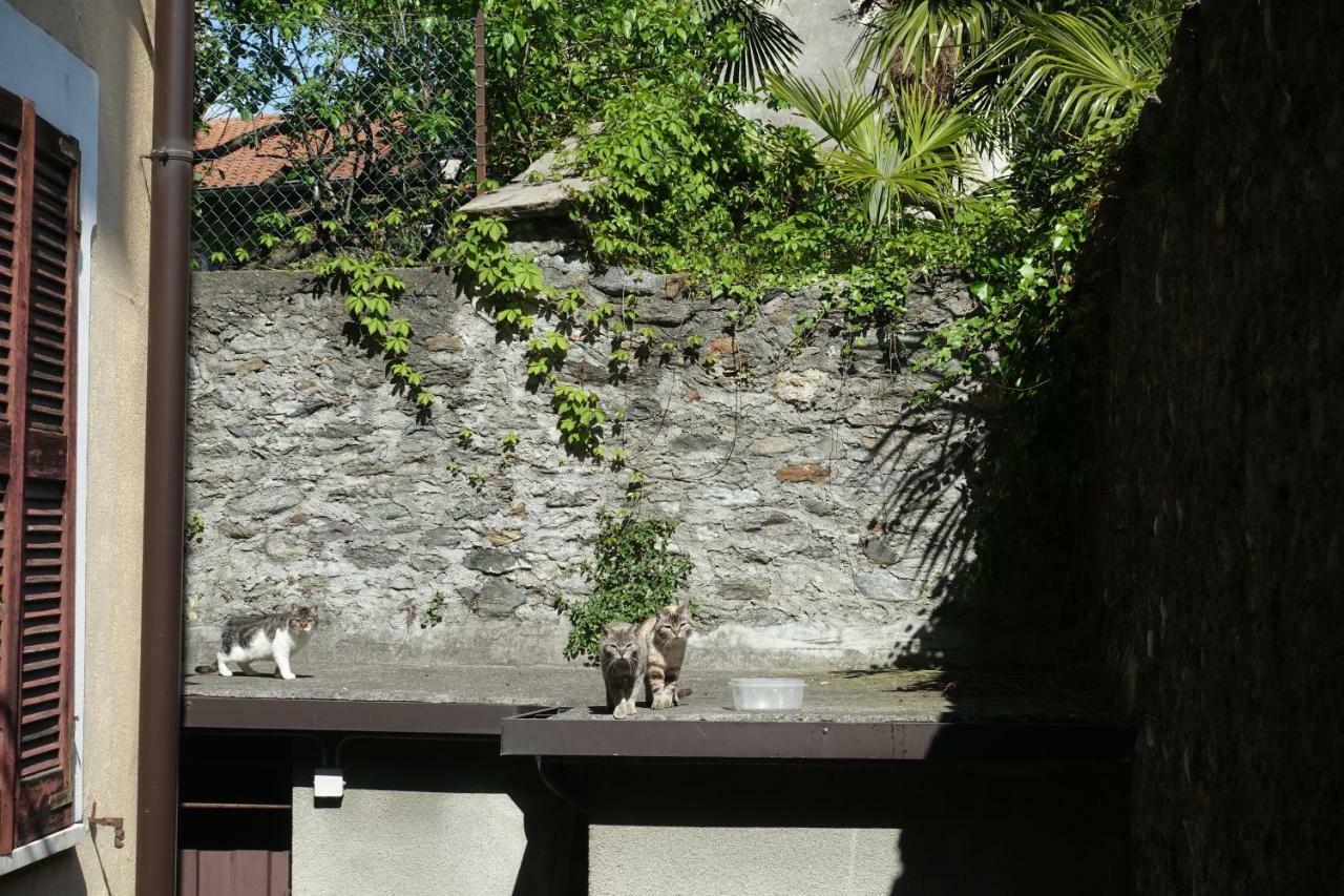 House Of Cats Domaso Exterior foto